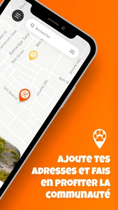 صور TWiP - Voyage avec ton chien
