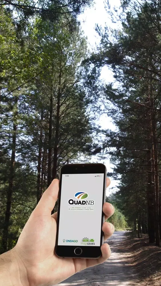 QuadNB 2020 Ekran Görüntüleri