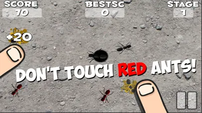Crush These Ants应用截图