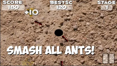 Crush These Ants应用截图