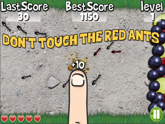 Squish these Ants iPad  스크린샷