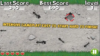 Screenshot di Squish these Ants