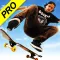 Skateboard Party 3: Pro