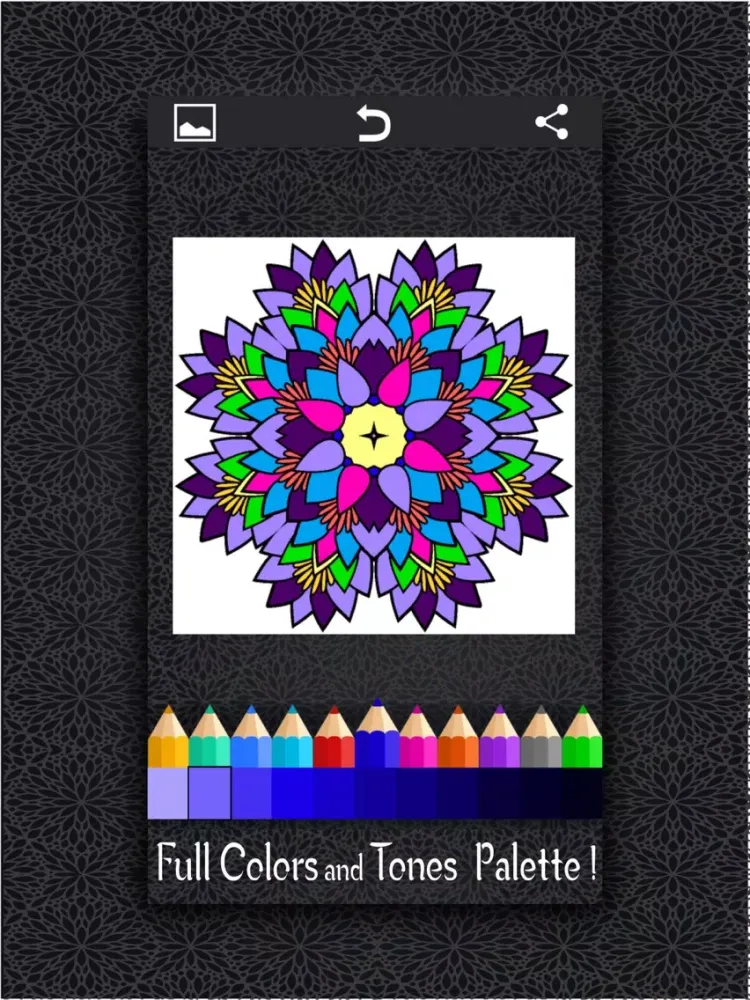 ColoRelax Coloring Mandala iPad 应用截图