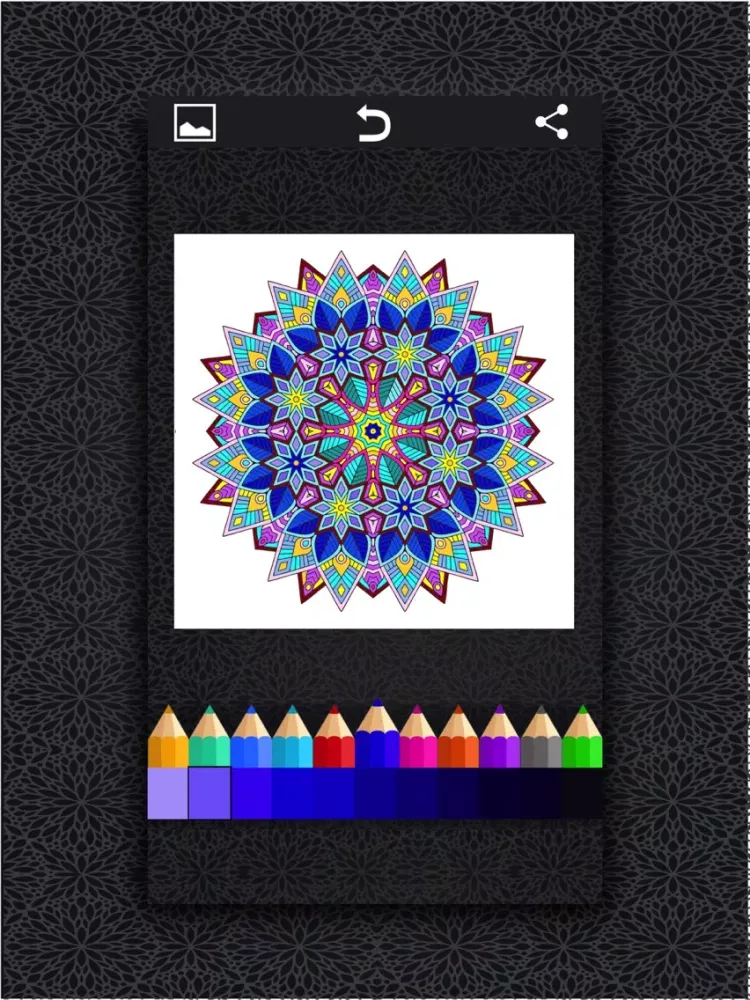 ColoRelax Coloring Mandala iPad 应用截图
