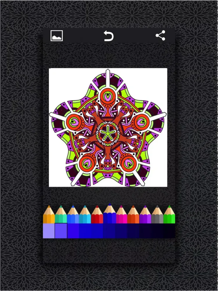 ColoRelax Coloring Mandala iPad 应用截图
