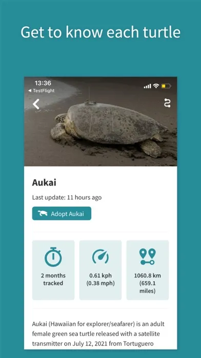 STC Turtle Tracker應用截圖