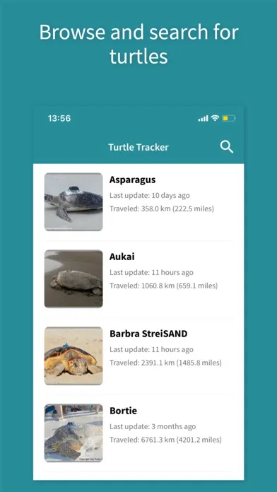 STC Turtle Tracker應用截圖