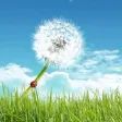 壁纸精选10000+每天更新 壁纸精选10000+每天更新