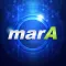 imarA SCC