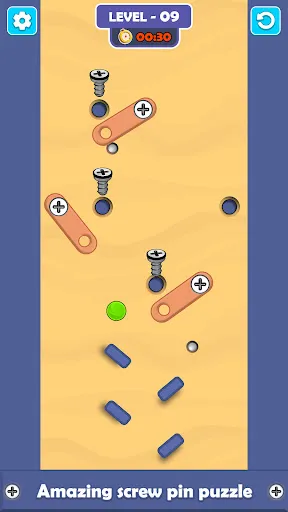 Marble Screw Pin Puzzle Screenshots