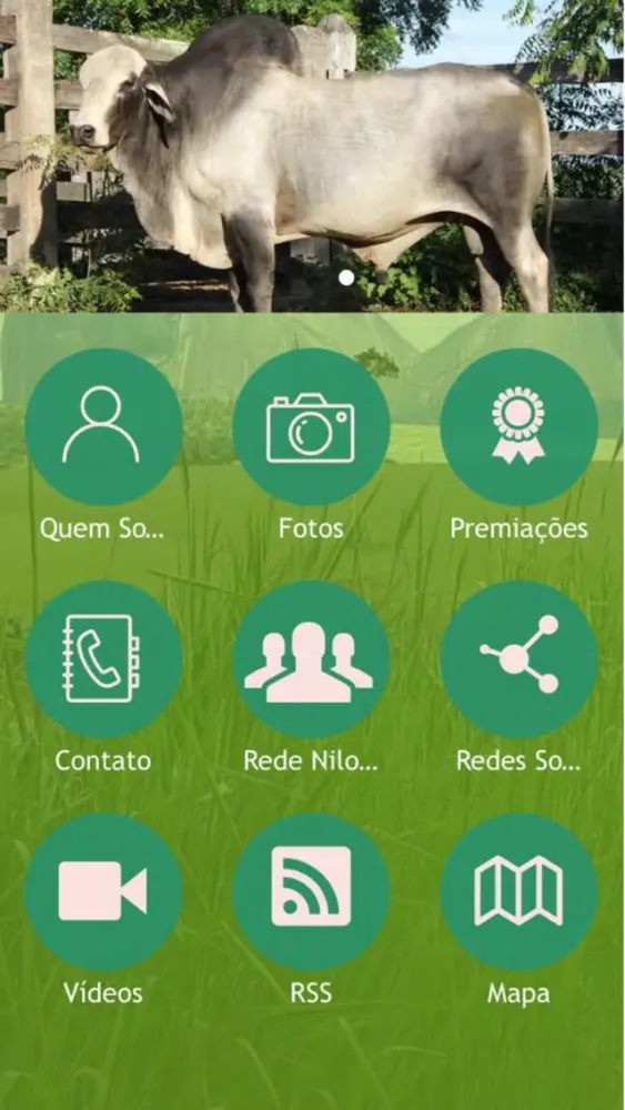 Capturas de pantalla de Marca Nilo
