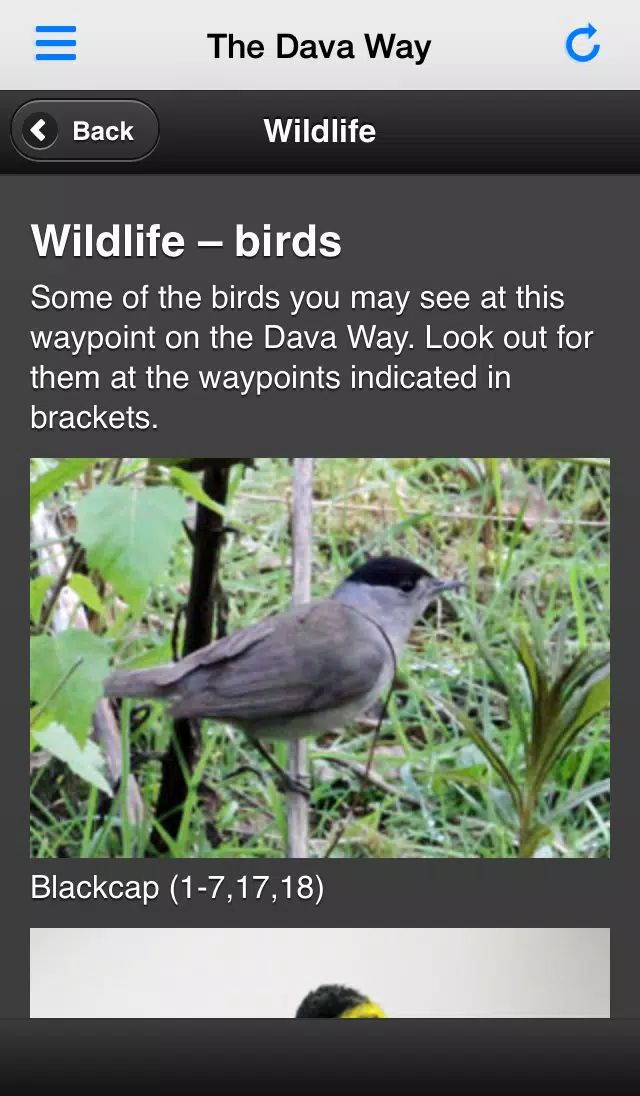The Dava Way স্ক্রিনশট