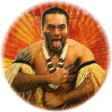The Haka's Game Ludocoach The Haka's Game Ludocoach