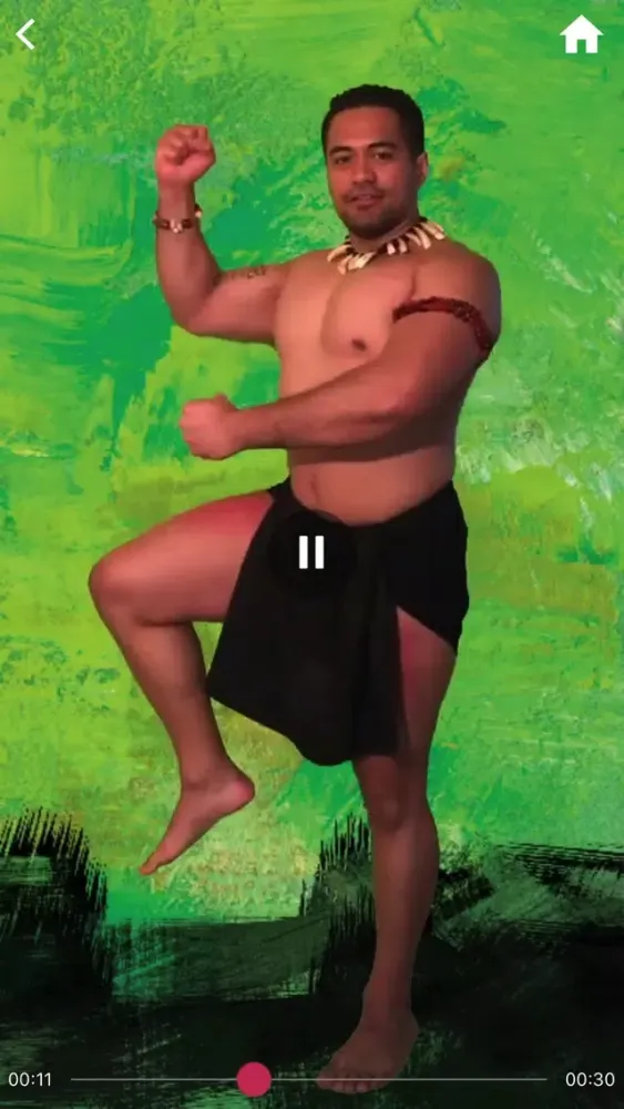 Captures d'écran de The Haka's Game Ludocoach