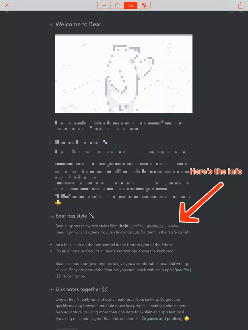 Pinpoint: Screenshot Editor iPad 应用截图