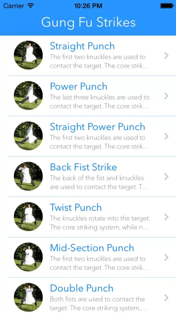 Gung Fu Strikes 스크린샷