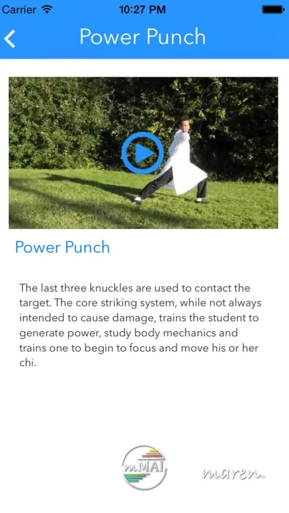 Gung Fu Strikes 스크린샷