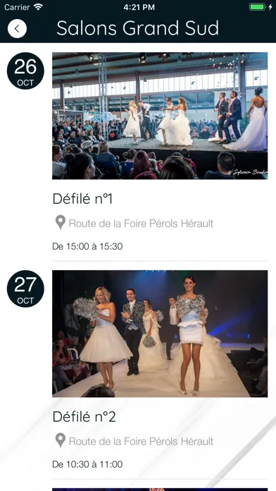 Screenshot di Salons du Mariage France
