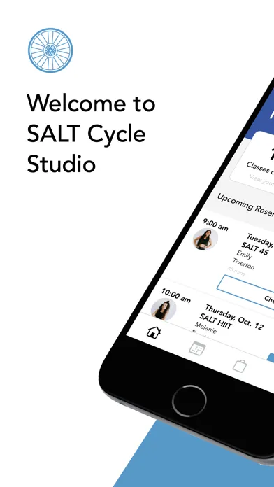 SALT Cycle Studio Screenshots