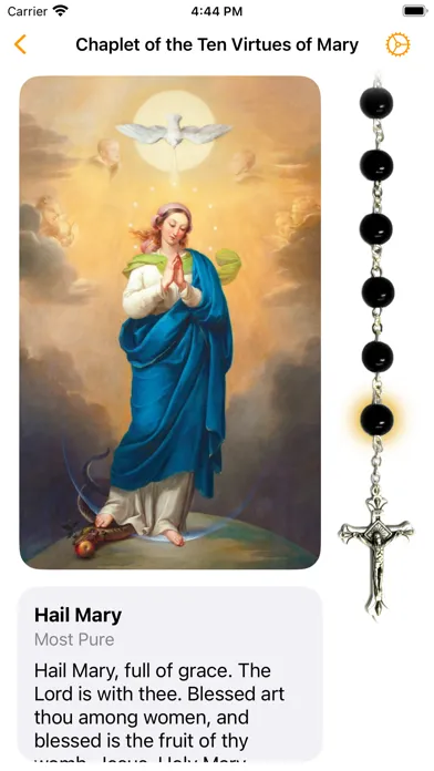 Ảnh chụp màn hình của Saint Stanislaus Papczynski