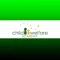 Child Welfare Academy