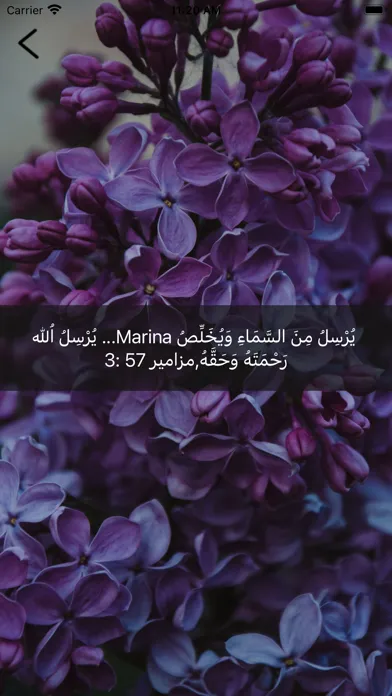 Captures d'écran de Personal Verse