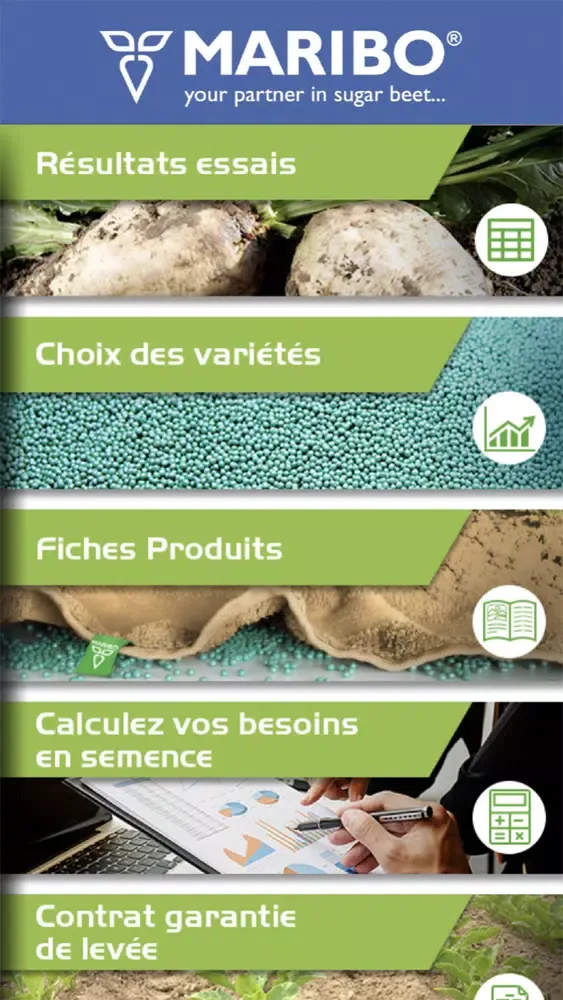 تصاویر Maribo France