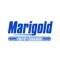 Marigold Ford Lincoln