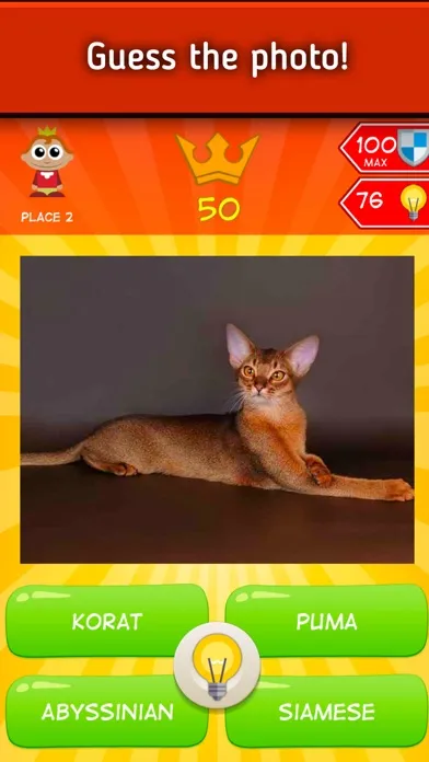 King size Quiz 스크린샷