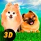 Pomeranian Dog City Wild Life