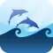Marine Quiz : Ocean Water Mammals Species Animal Guess Game