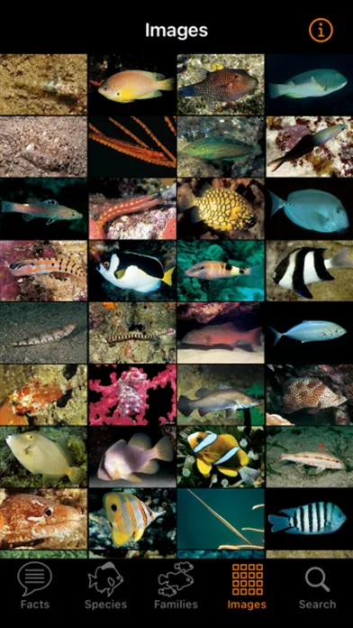 Captures d'écran de Marine Fish Great Barrier Reef