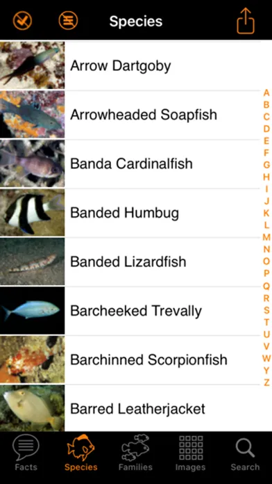 Zrzuty ekranu Marine Fish Maldives