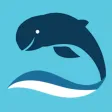 Marine Mammal App Marine Mammal App
