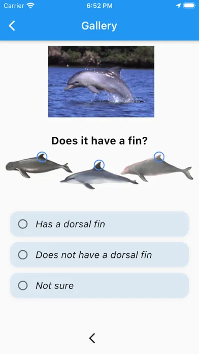 Capturas de pantalla de Marine Mammal App