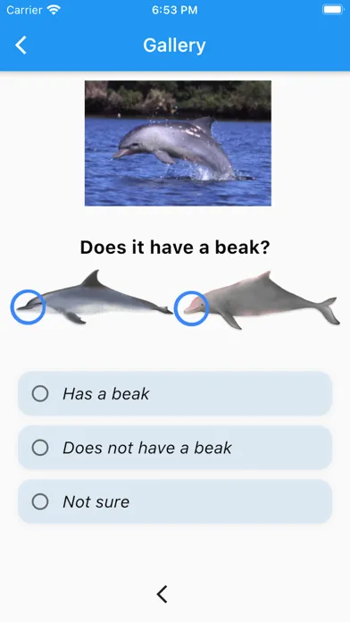 Capturas de pantalla de Marine Mammal App