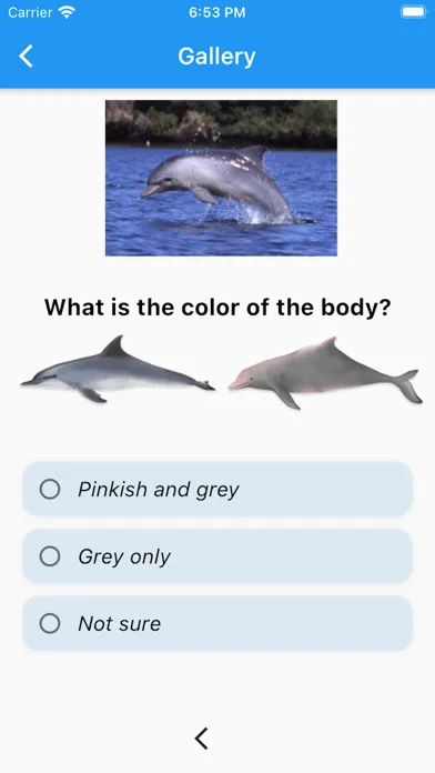 Capturas de pantalla de Marine Mammal App