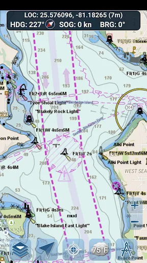 Marine Ways - Nautical Charts Screenshots