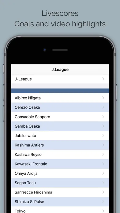 Ảnh chụp màn hình của J League.