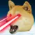 DogeCrush To the MOON