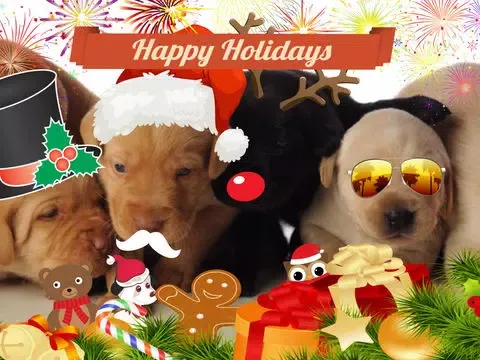 Christmas and New Years picture booth app iPad  স্ক্রিনশট