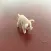 Pigs Tally