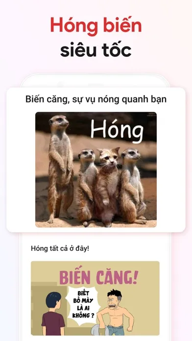 HOBI: Hóng biến, Ảnh đẹp سکرین شاٹس