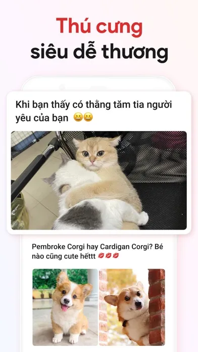 HOBI: Hóng biến, Ảnh đẹp سکرین شاٹس