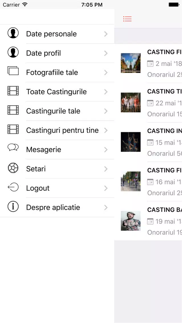 Agentia de Casting Screenshots