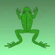 Frogs Legs