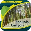 Sequoia Canyon N.Park