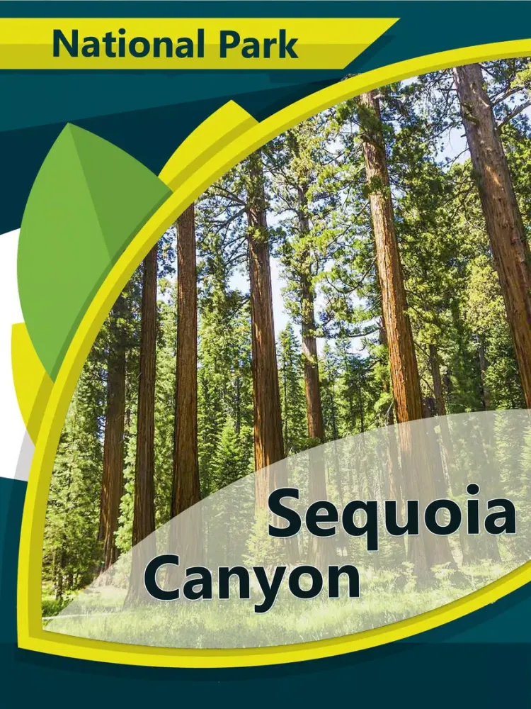 Sequoia Canyon N.Park iPad  スクリーンショット