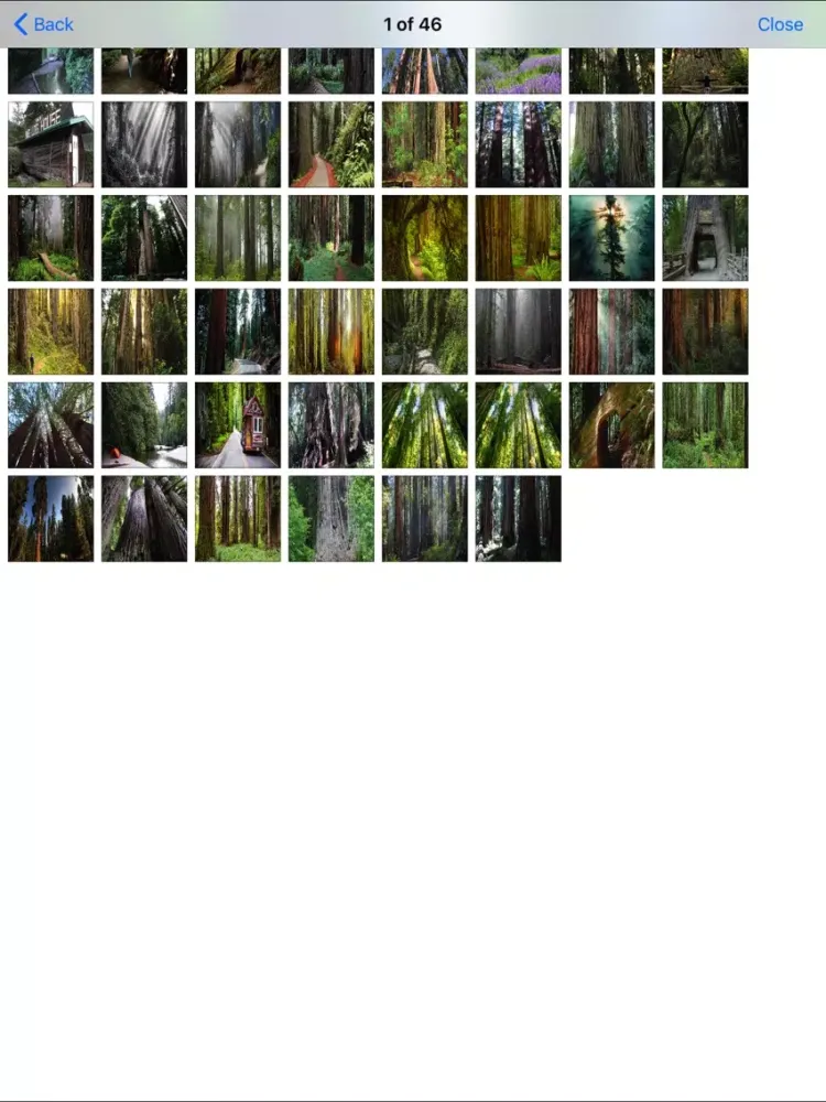 Sequoia Canyon N.Park iPad  スクリーンショット